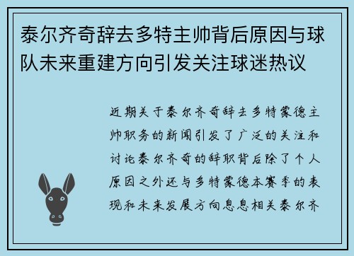 泰尔齐奇辞去多特主帅背后原因与球队未来重建方向引发关注球迷热议